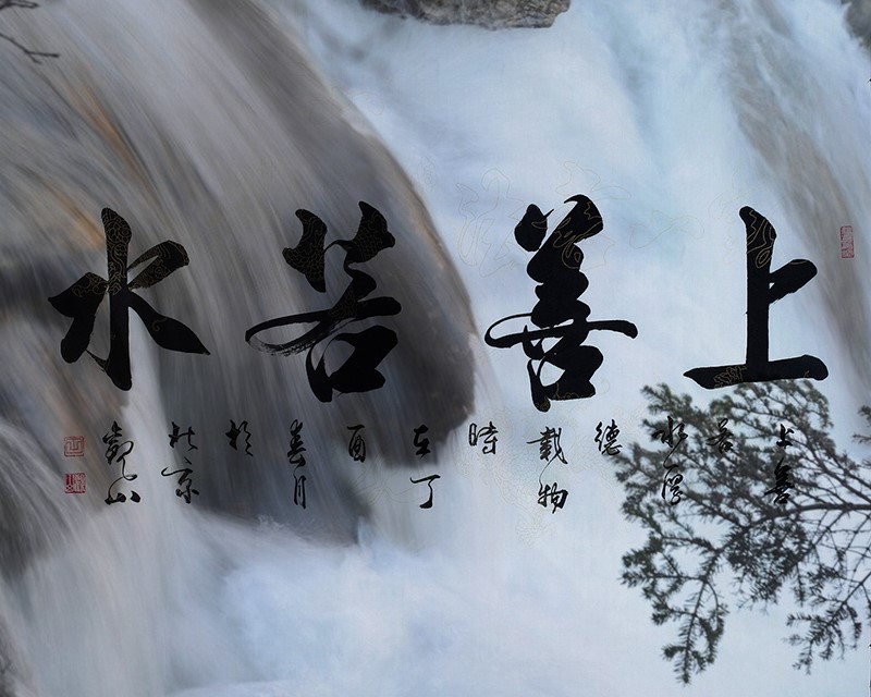 蘑菇AV下载